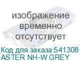 ASTER NH-W GREY