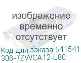 306-7ZWCA12-L80