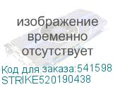 STRIKE520190438