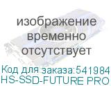 HS-SSD-FUTURE PRO 1024G
