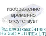 HS-SSD-FUTUREX LITE 2048G
