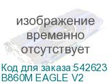 B860M EAGLE V2