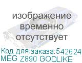 MEG Z890 GODLIKE
