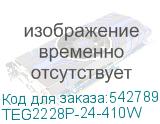 TEG2228P-24-410W