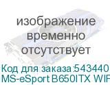 MS-eSport B650ITX WIFI ICE