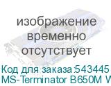 MS-Terminator B650M WIFI6