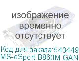 MS-eSport B860M GANK WIFI