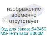 MS-Terminator B860M