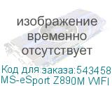 MS-eSport Z890M WIFI ICE