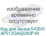 AP512GAS2280P4X