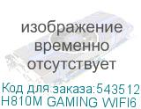 H810M GAMING WIFI6