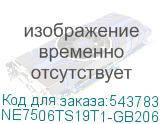 NE7506TS19T1-GB2061S