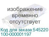 100-000001197