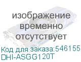 DHI-ASGG120T