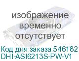 DHI-ASI6213S-PW-V1