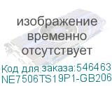 NE7506TS19P1-GB2062S