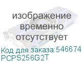 PCPS256G2T