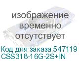CSS318-16G-2S+IN