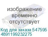 4891199232275