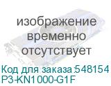 P3-KN1000-G1F