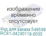 RC81-04290119-0000