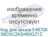 SSDSC2KB480GZ1Z