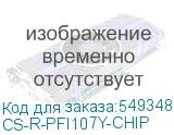 CS-R-PFI107Y-CHIP