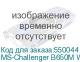 MS-Challenger B650M WIFI ICE V2