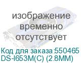 DS-I653M(C) (2.8MM)