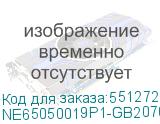 NE65050019P1-GB2070F