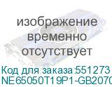 NE65050T19P1-GB2070F