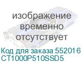 CT1000P510SSD5