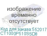 CT1000P510SSD8