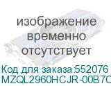 MZQL2960HCJR-00B7C