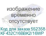 KF432C16BBK2/16WP