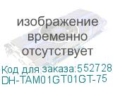 DH-TAM01GT01GT-75