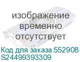 S24499393309