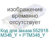 M348_Y + PTM348_Y