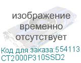 CT2000P310SSD2