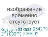 CT1000P310SSD2