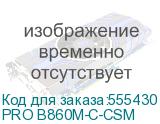 PRO B860M-C-CSM