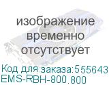 Полка выдвижная грузоподъёмностью до 150 кг для шкафов серии EMS шириной 800 мм и глубиной 800 мм (ЦМО) EMS-RBH-800.800 EMS-RBH-800.800