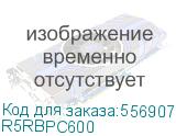 Секция управления RBPC для пультов/стоек R5R, Ш=600 мм RAM block (DKC) R5RBPC600 R5RBPC600