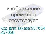 Чистящая жидкость тип 1/ RICOH Cleaning Liquid Type 1 (Ricoh) 257058 257058