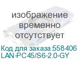 Патч-корд Lanmaster LAN-PC45/S6-2.0-GY FTP вилка RJ-45-вилка RJ-45 кат.6 2м серый LSZH (уп.:1шт) (LANMASTER) LAN-PC45/S6-2.0-GY