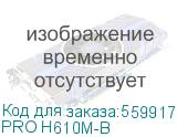 PRO H610M-B