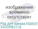 302GR93118