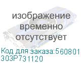 303P731120