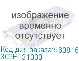 302P131030