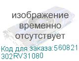 302RV31080